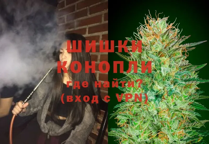 Бошки Шишки OG Kush  продажа наркотиков  Зубцов 